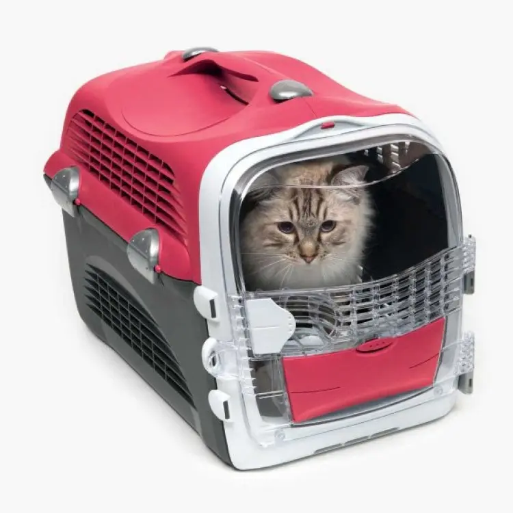 Cabrio Cat Carrier System Cherry Redكابريو حاملة قطط