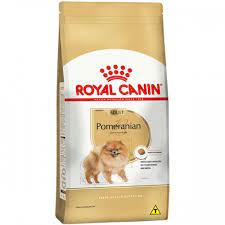 RC,POMERANIAN ADULT 1.5KGكلب صغير طويل الشعر البالغ