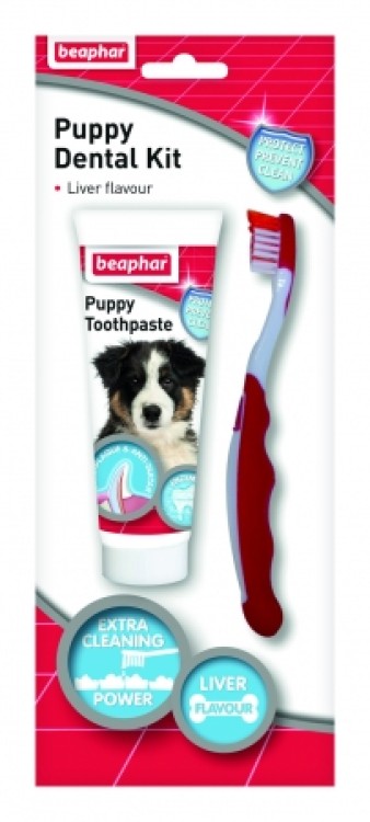 PUPPY DENTAL KIT 50Gببي دنتال