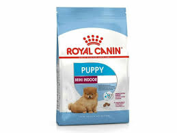 RC,MINI INDOOR PUPPY 1.5  KGميني داخلي
