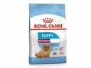 RC,MINI INDOOR PUPPY 1.5  KGميني داخلي
