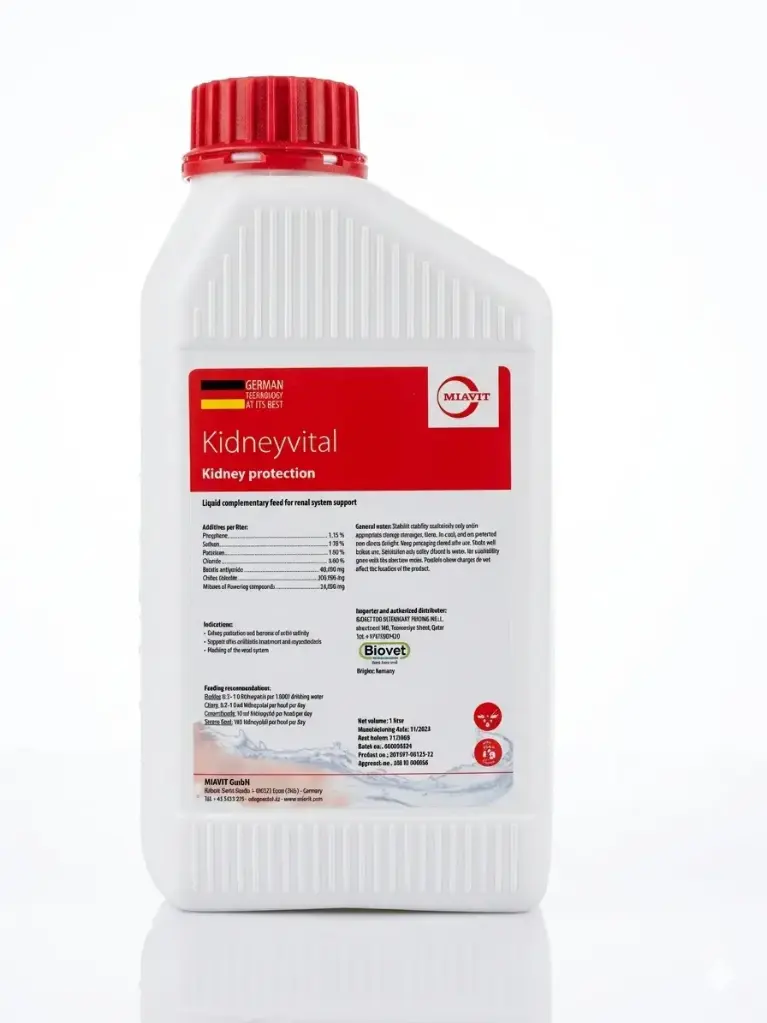KIDNEY VITAL 1Lكيدني فيتال