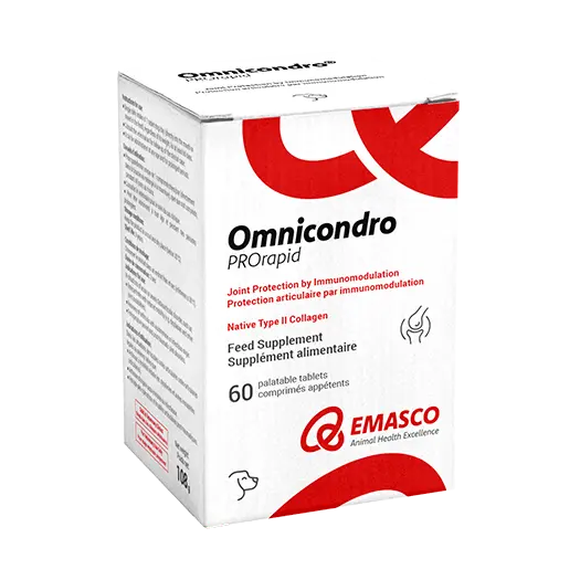 omnicondro pro rapid-60 COMPأومنيكوندرو برو السريع