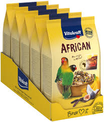 PARROT SMALL AFRICAN 750Gببغاء افريقي