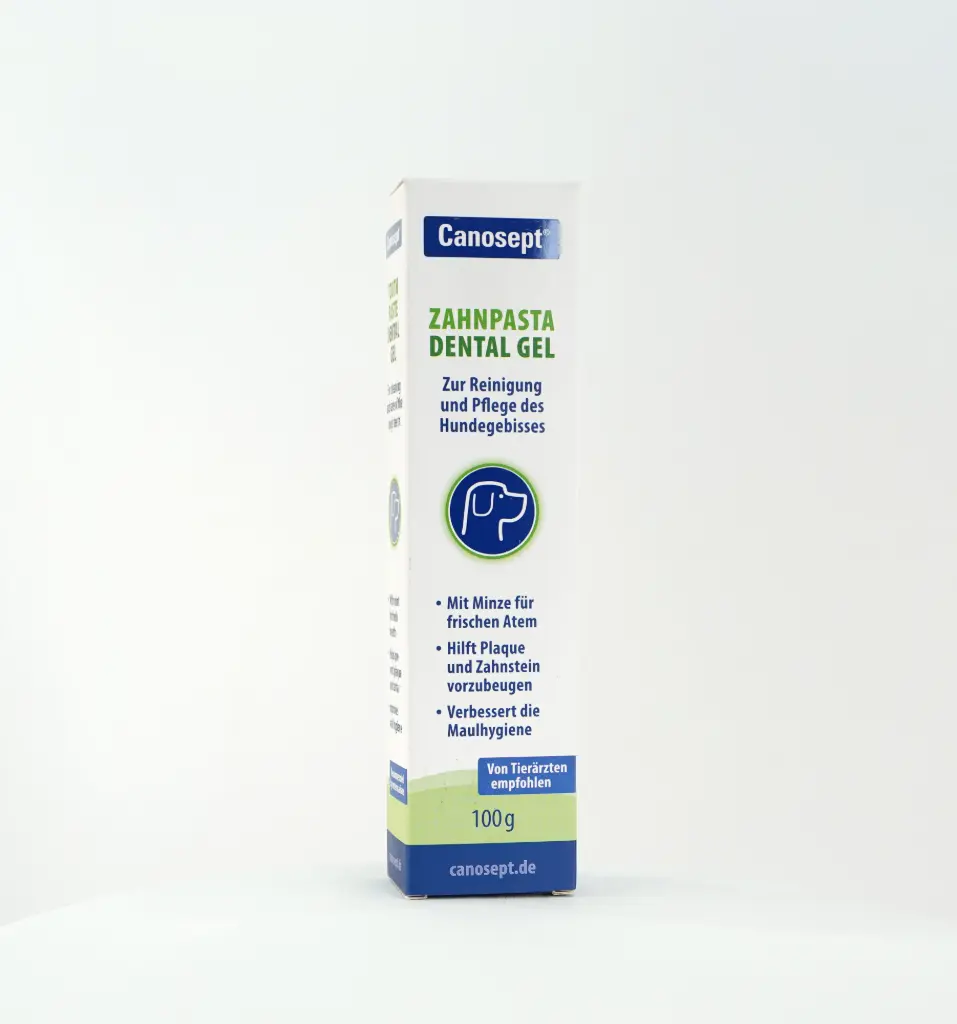 CANOSEPT DENTAL CARE TOOTHPASTE 100Gمعجون أسنان