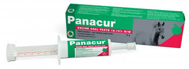 Panacure paste 24gباناكور