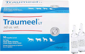 traumeel INJ 5ML تراوميل جل