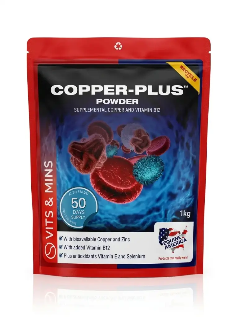COPPER-PLUS POWDER 1KGنحاس