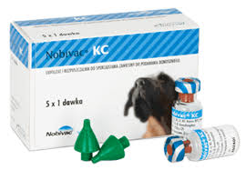 NOBIVAC KC+DILUENT(C)لقاح نوبيفاك سعال الكلاب
