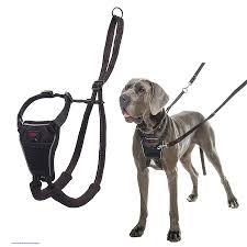 HALTI HEADCOLLAR DOG STOP PULLING STRAP,BLACK