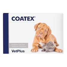 COATEX 60 CAPS كواتكس