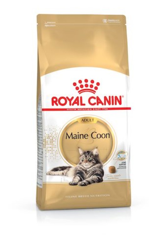 RC,Maine Coon Adult 2kgقط مين كون بالغ