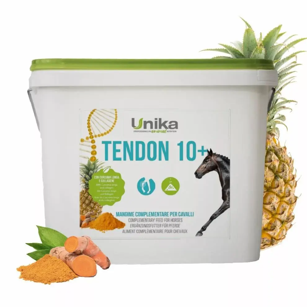 TENDON 10 4KGتيندون