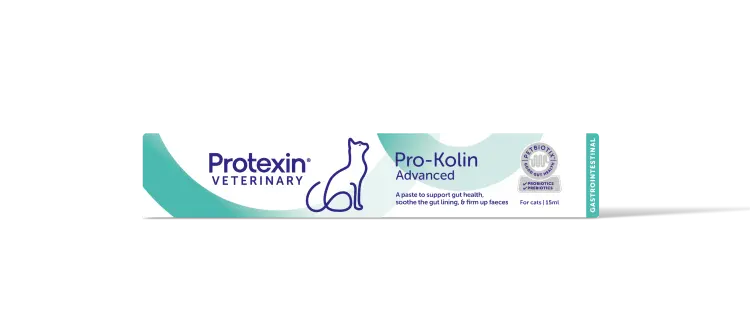Pro-kolin Advanced for Cats 15 ml برو-كولين المتقدم للقطط 