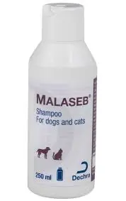 MALASEB SHAMPOO 250MLملاسيب
