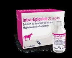INTRA-EPICAINE 20MG/ML 10MLداخل الإبيكائين 