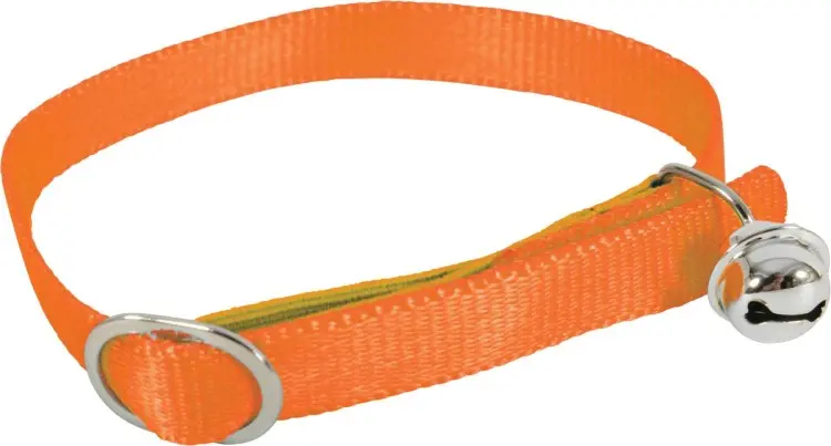 Nylon Collar Orange, 30 cm/ 10 mm  ياقة     