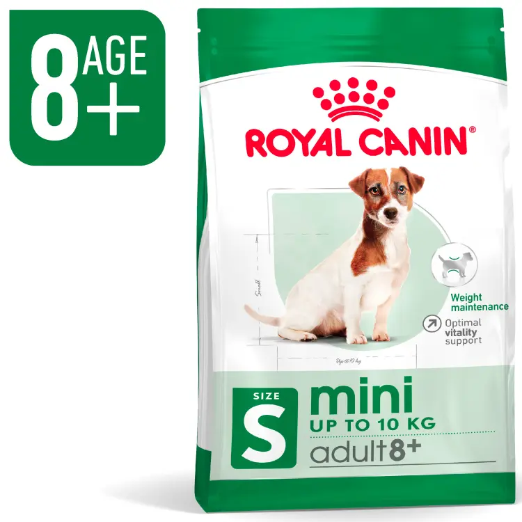 RC,Mini Adult 8+ 2 kgميني للكبار