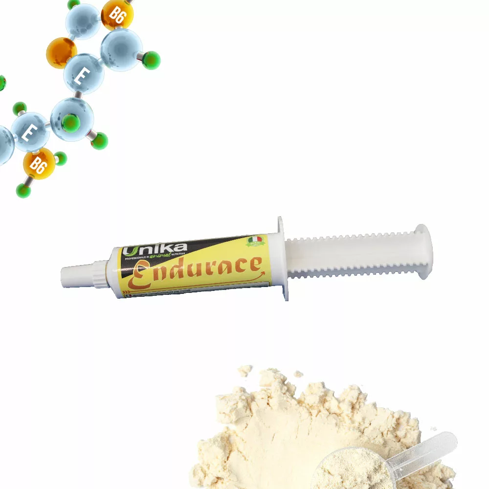 ENDURACE 100Gتَحمُّل