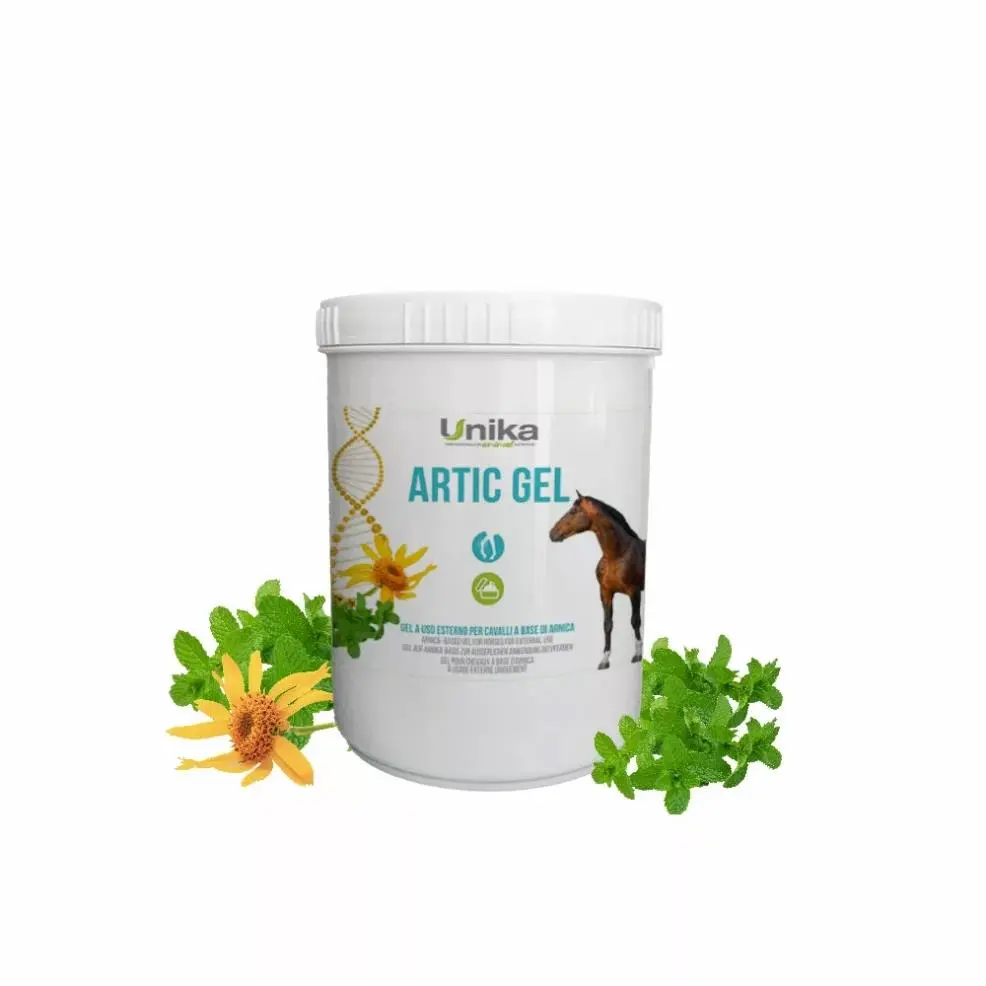 ARTIC GEL 500Gجل أرتيك 