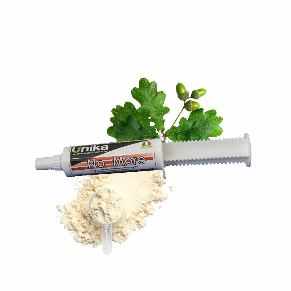 NO MORE 100Gلا مزيد