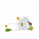 ARTIC GEL 100Gجل أرتيك  