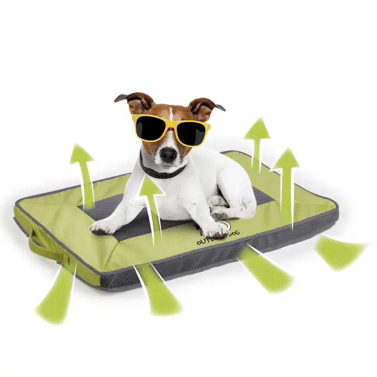 Quick Dry Outdoor Dog Mat Green Smallحصيرة الكلب