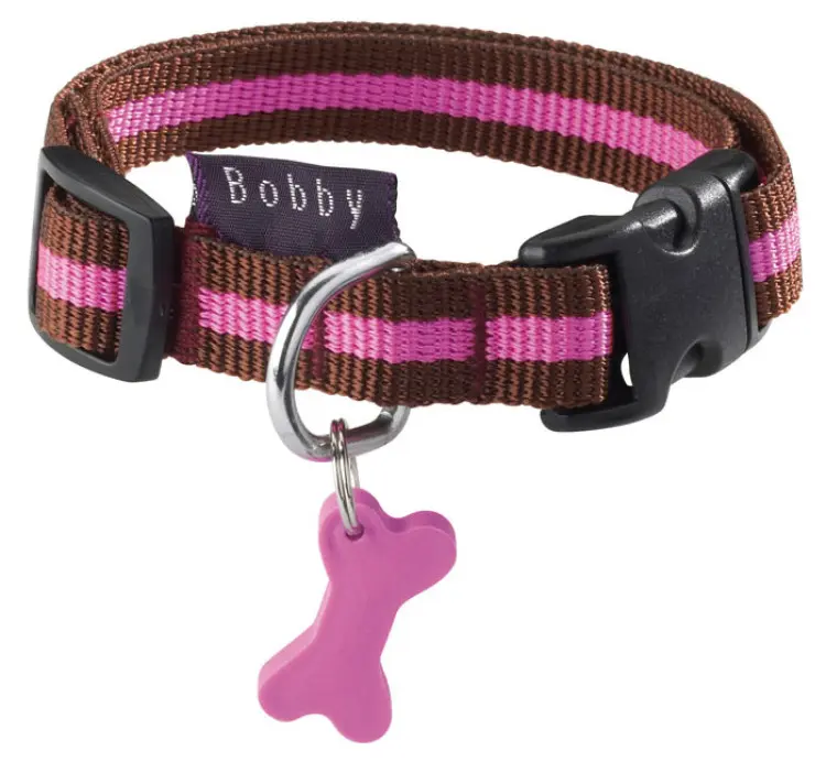 Arlequin Collar Maroon, Large  ياقة              