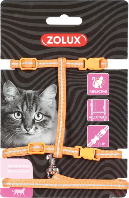 Cat Harness & Leash Kit Orangeحزام ومقود