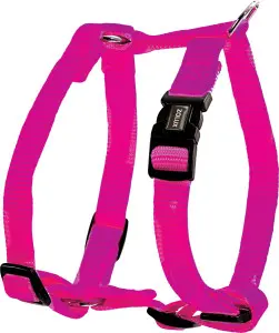 Nylon Adjustable Harness Fuchsia, 10 mm    ياقة       