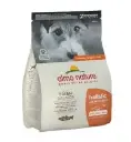 HOLISTIC DOGS XS-S SALMON 2KGطعام كلاب سلمون
