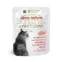 HFC HIGHLY APPETIZING CATS CKN FILLET 50Gطعام قطط دجاج