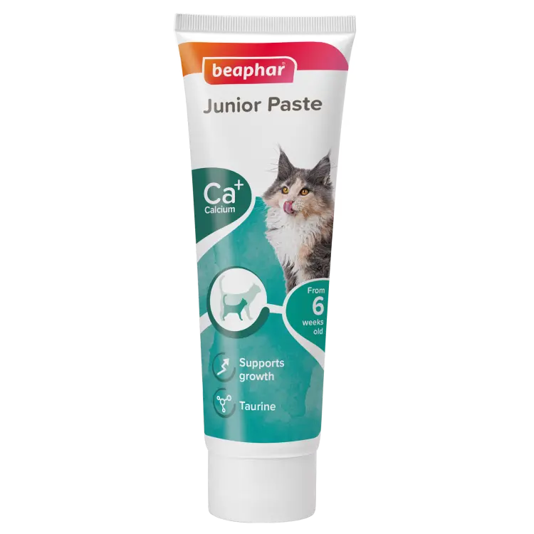 Junior Paste for Cats 100 gمعجون جونيور للقطط