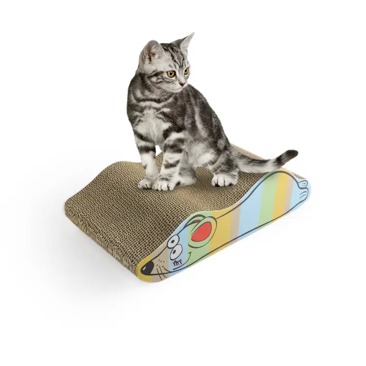 Catoon Back Scratcher Mouseفأر كاتون لخدش الظهر