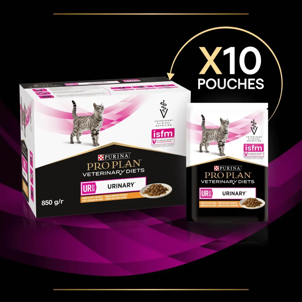 Pro Plan VD Feline UR (Urinary) CiG Chicken 85gطعام قطط دجاج