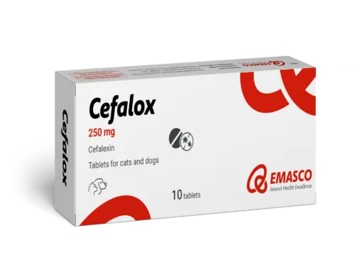 CEFALOX 250MG 10 TAB/STRIPسيفالوكس 