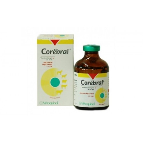 [VES-0002] COREBRAL 50MLكوريبرال