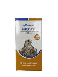 [LOC-00799] Falcon Cefta 30tabفالكون سيفتا تاب