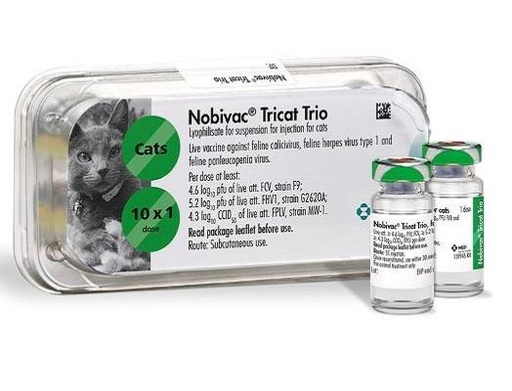 [ADS-0069] Nobivac Tricat Vaccineلقاح نوبيفاك القطط الثلاثي