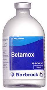 [LOC-01013] BETAMOX 100ML بيتاموكس