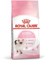 [SVT-0140] RC,KITTEN 2KGرويال كانين كيتن