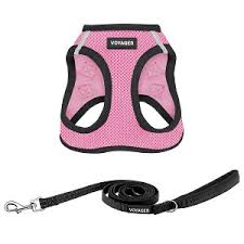 [LOC-00593] PET HARNESS & LEASH SET-Sتسخير