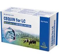 [VEM-0046] CEQUIN LC 8G سيكوين