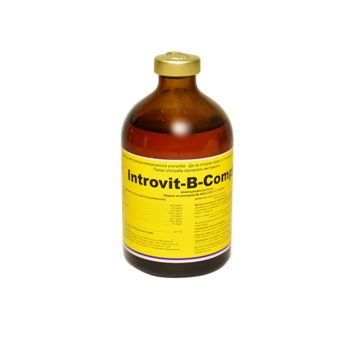 [LOC-00347] Introvit B-Complex 100mlانتروفيت بي كومبلكس