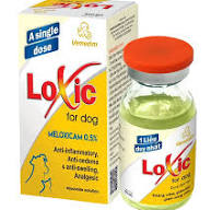 [VEM-0033] Loxic for dog 10mlلوكسيك للكلاب