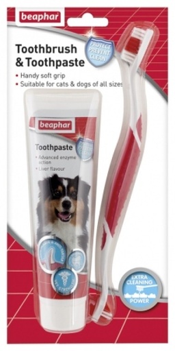 [SVT-0237] Toothbrush & Toothpaste Combipackفرشاة الأسنان