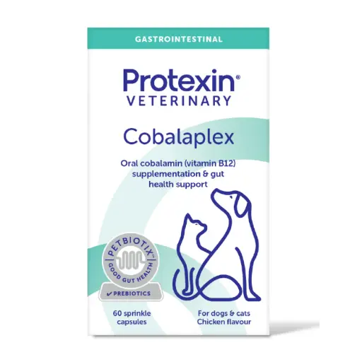 [SVT-0349] Cobalaplex for Dogs & Cats, 60 Sprinkle Capsules كوبالابليكس