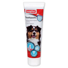 [SVT-0262] TOOTHPASTE 100Gمعجون أسنان