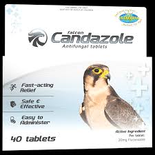 [SVT-0279] Falcon Candazole 40tabكاندازول