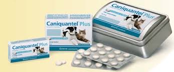 [ADS-0014] Caniquantel Plus 1tabكانيكانتيل